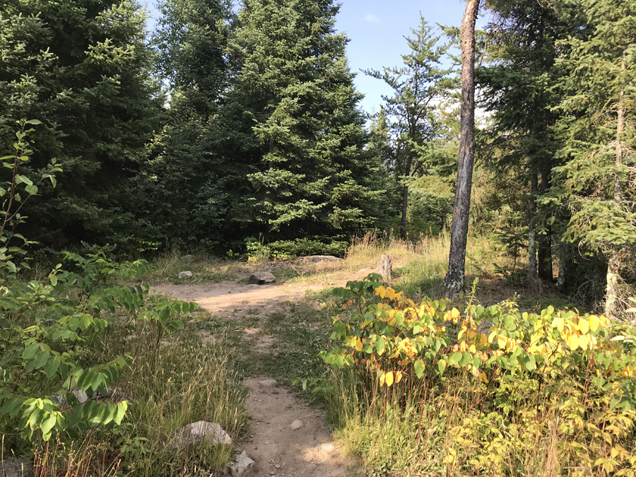 Wood Lake Campsite 4