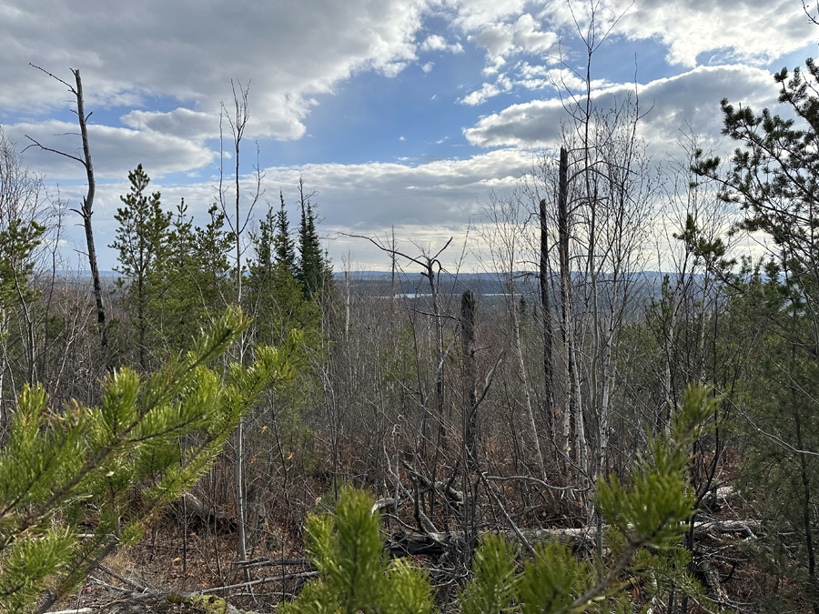 Centennial Trail 5