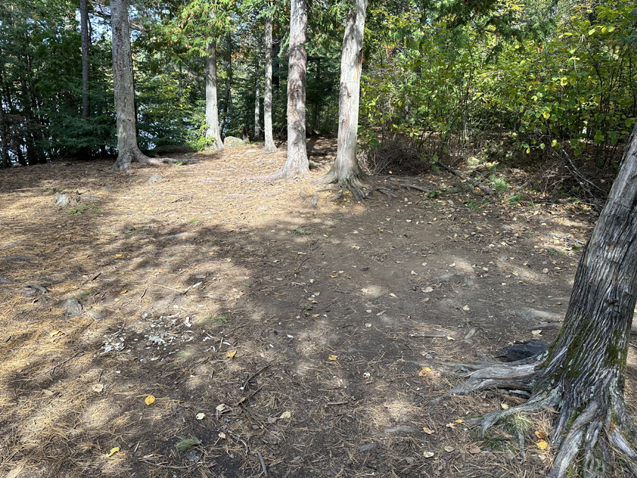 Alder Lake Campsite 4