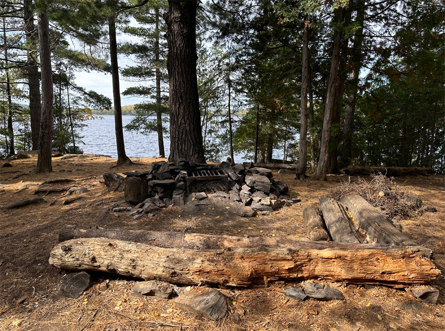Alder Lake Campsite 2