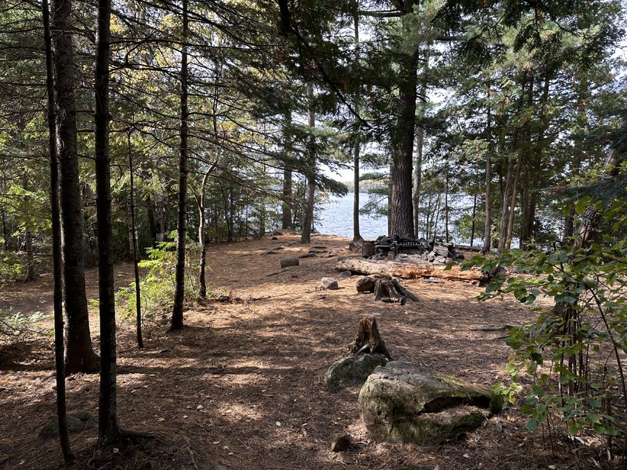 Alder Lake Campsite 10