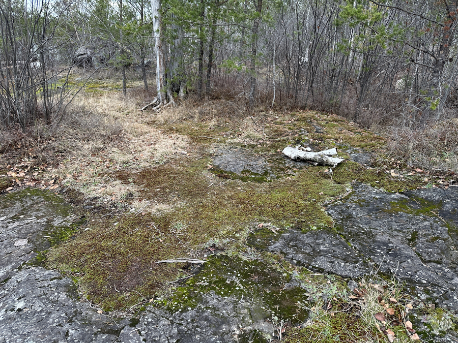 Bingshick Lake Campsite 5