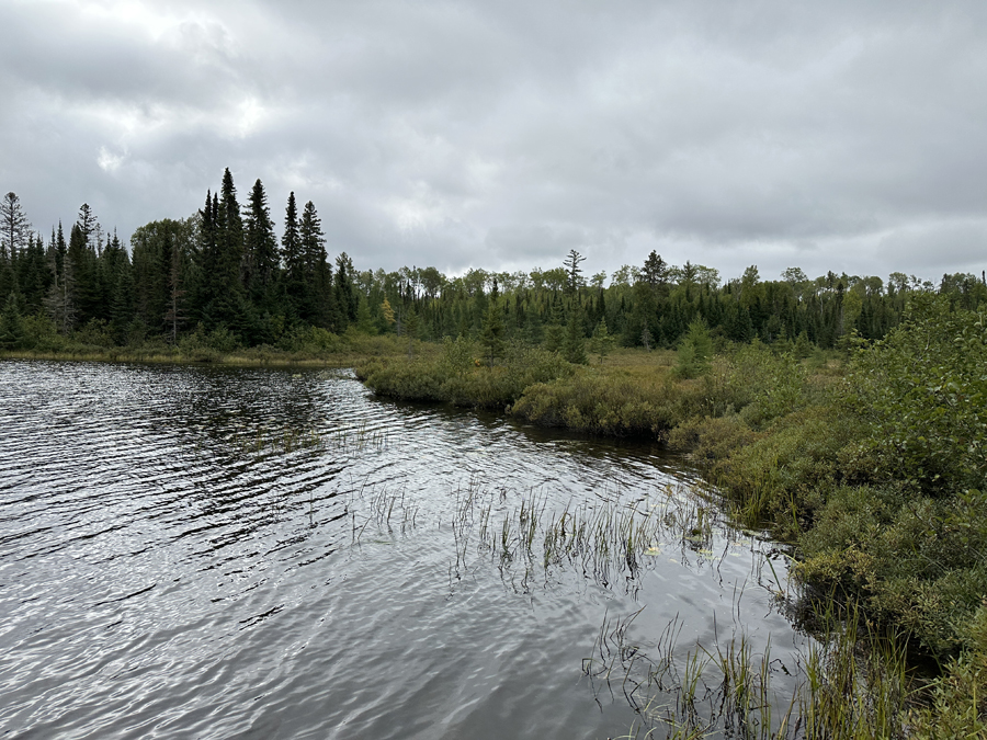 Crocodile Lake Campsite 8