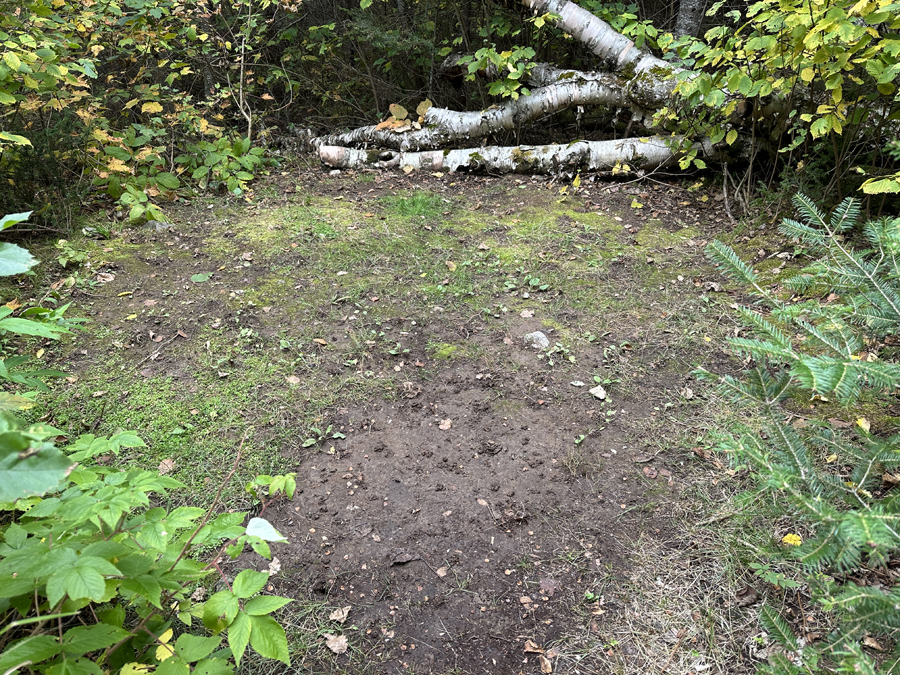 Crocodile Lake Campsite 6