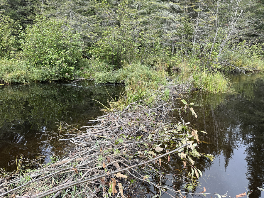 Crocodile River 1A