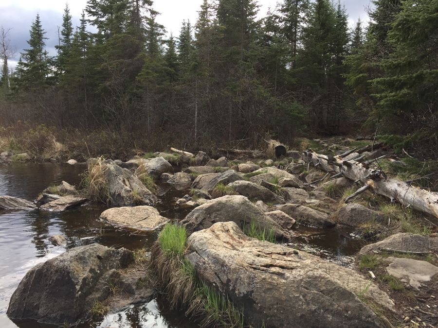 Cross Bay Lake to Rib Lake Portage 4