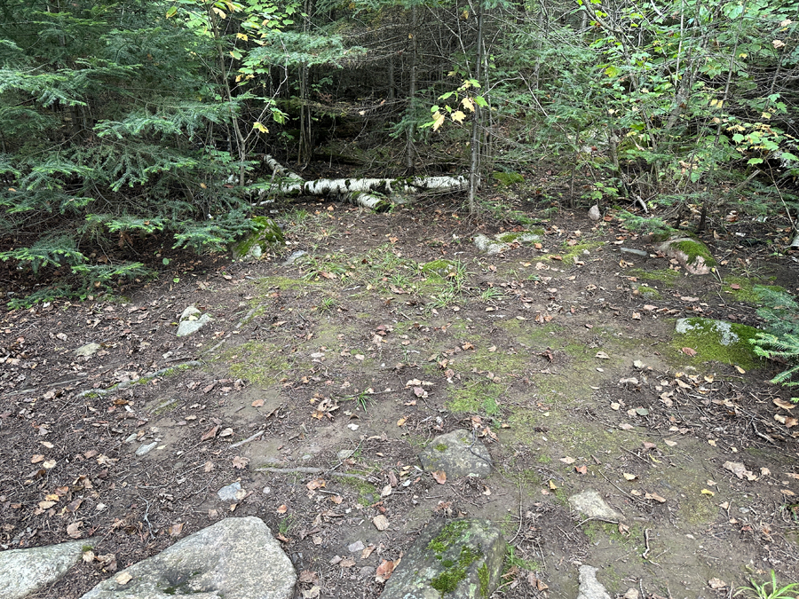 Deer Lake Campsite 5