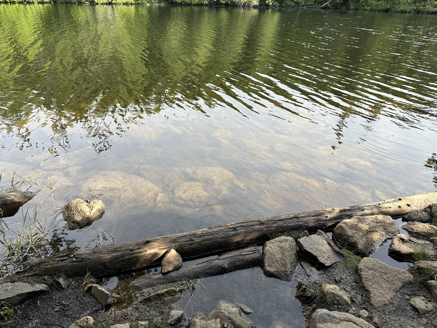 Gaskin Lake to Horseshoe Lake Portage 2