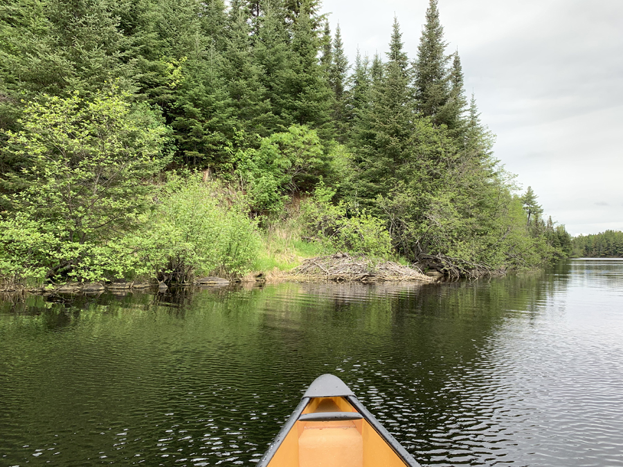 Gordon Lake 7