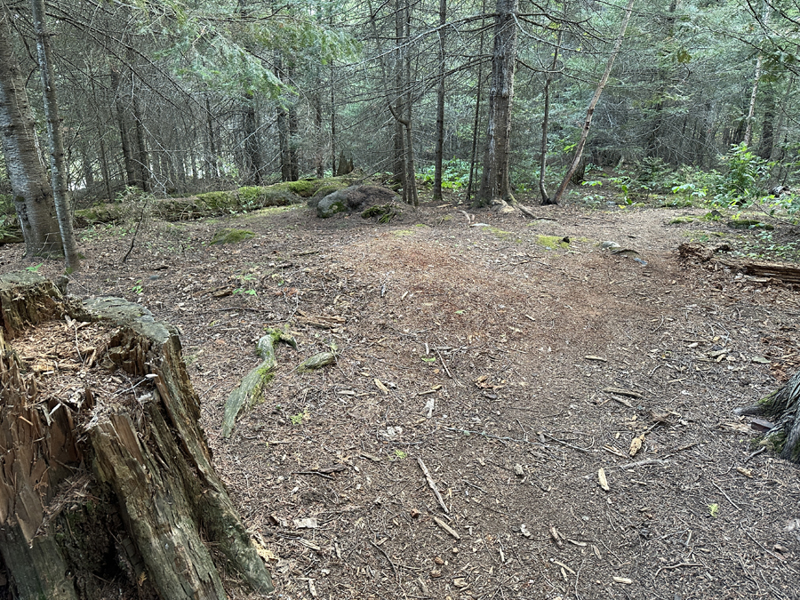 Horseshoe Lake Campsite 8