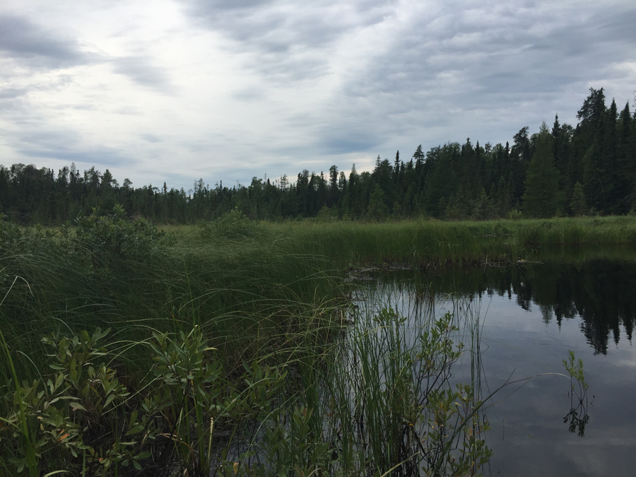 Howl Lake 3