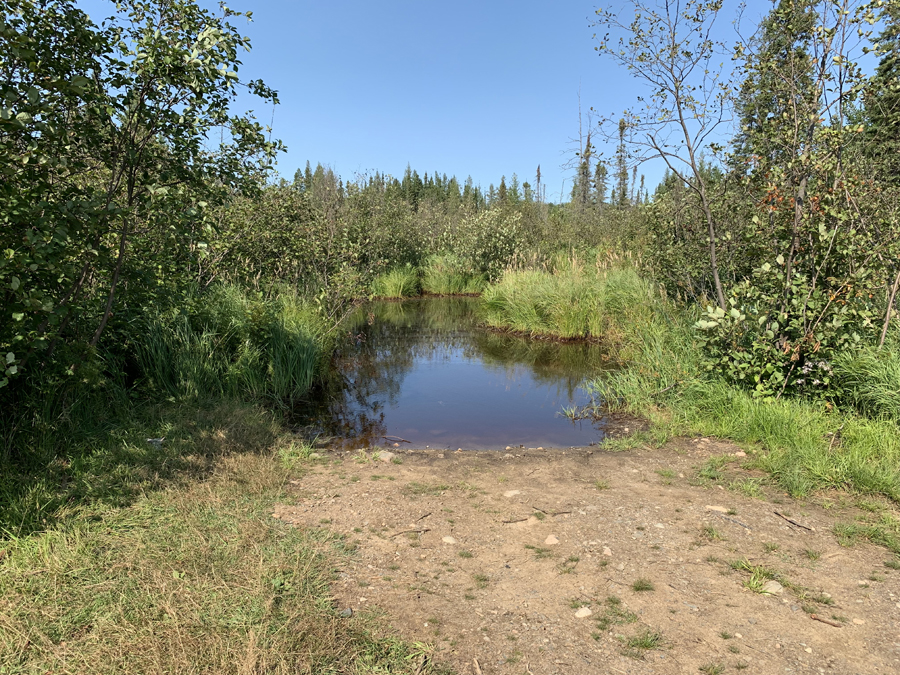Larch Creek 2