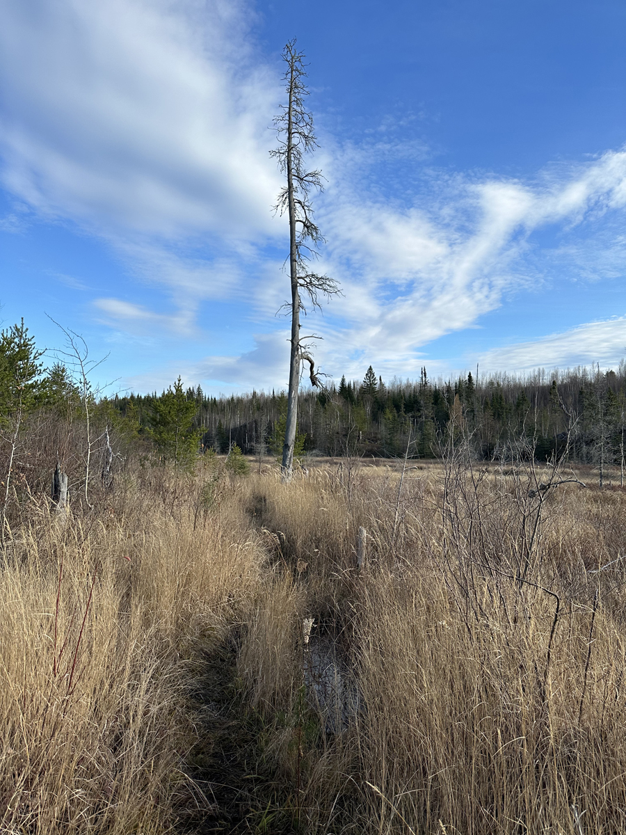 Mine Lake 3