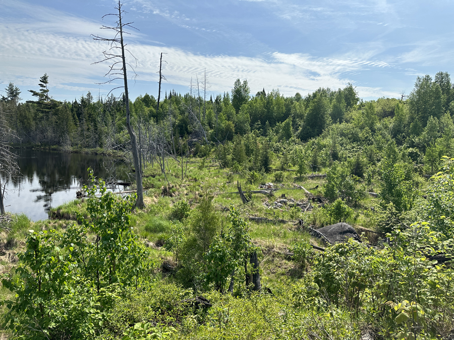 One Island Lake 3