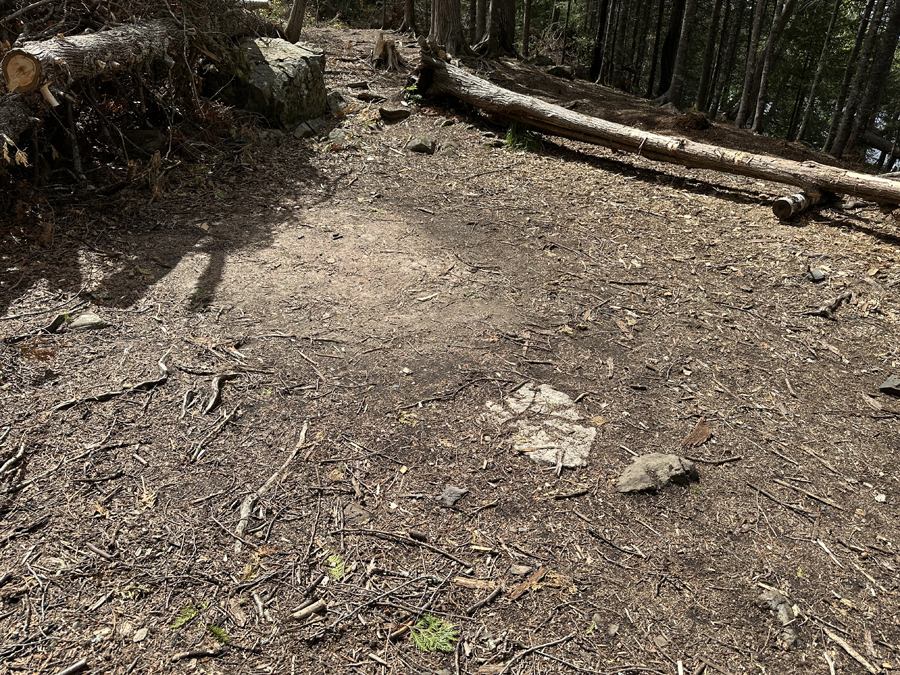 Rose Lake Campsite 4