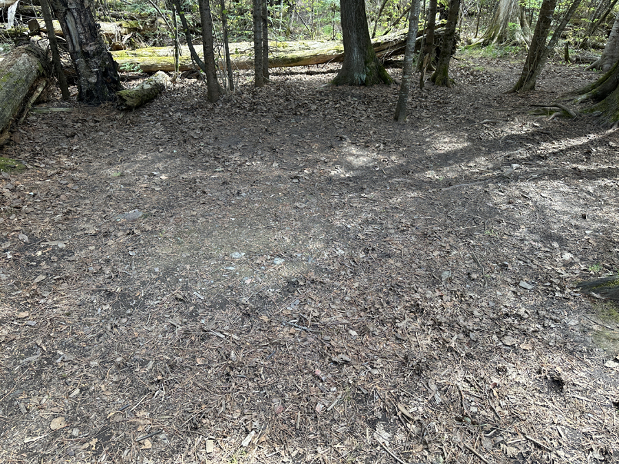 Rose Lake Campsite 8