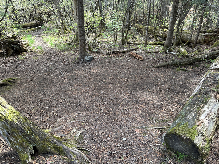 Rose Lake Campsite 10