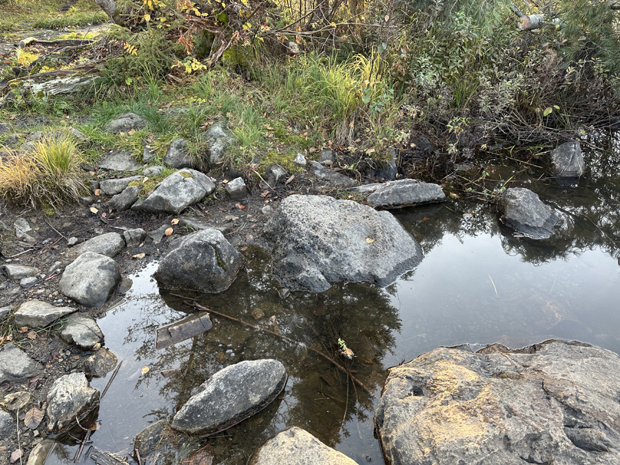 Rose Lake to Rove Lake Portage 3