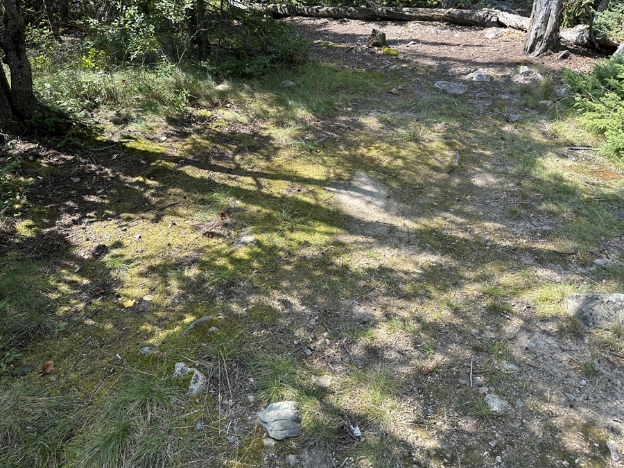 Sea Gull Lake Campsite 6