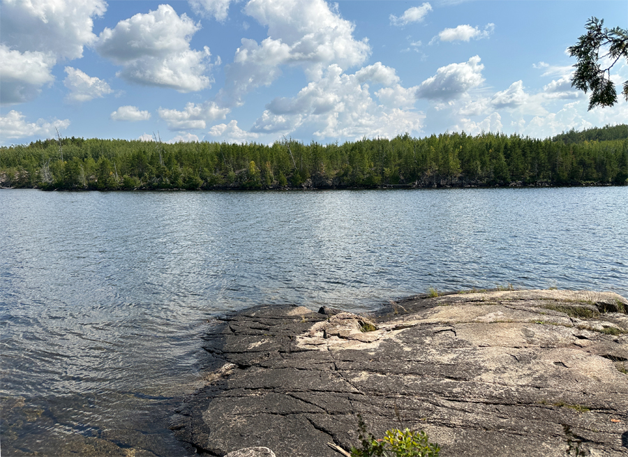Sea Gull Lake Campsite 8
