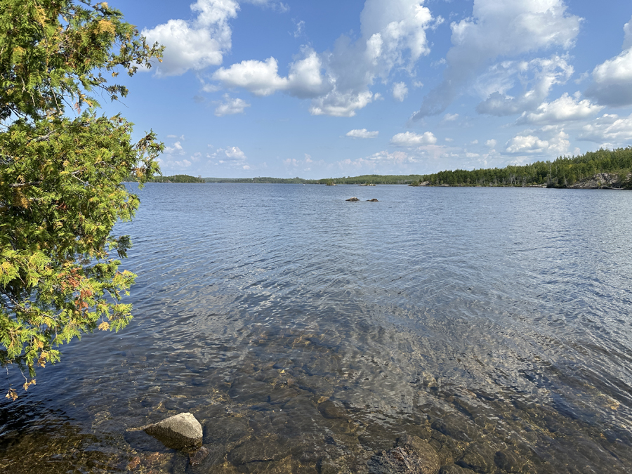 Sea Gull Lake Campsite 9