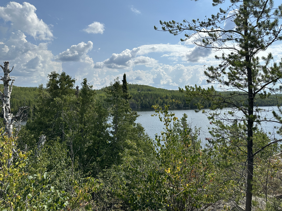 Sea Gull Lake Campsite 10
