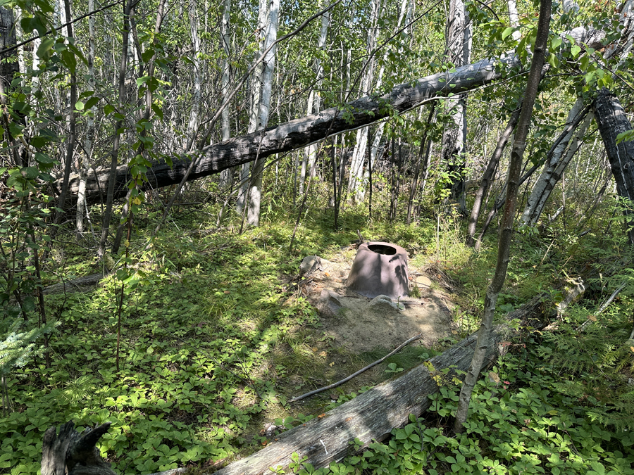Sea Gull Lake Campsite 6