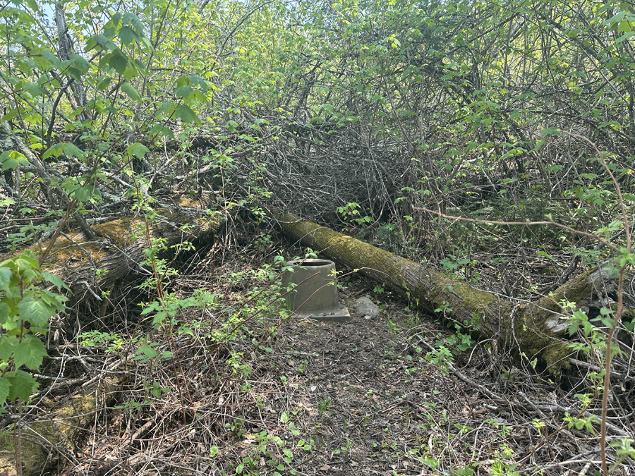 South Lake Campsite 6