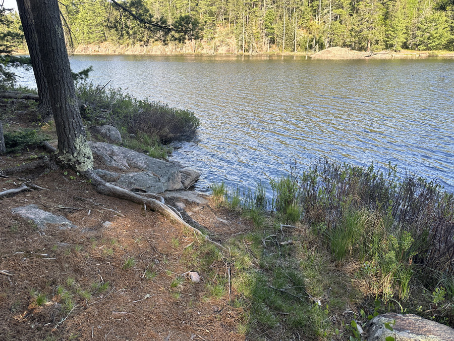 Angleworm Lake Campsite 2