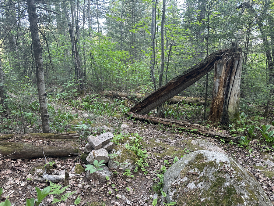 Angleworm Lake Campsite 6