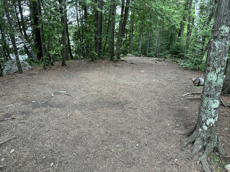 Bald Eagle Lake Campsite 5