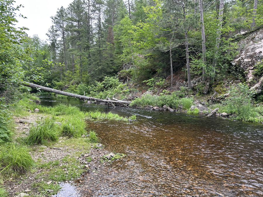 Fourtown Creek 1D