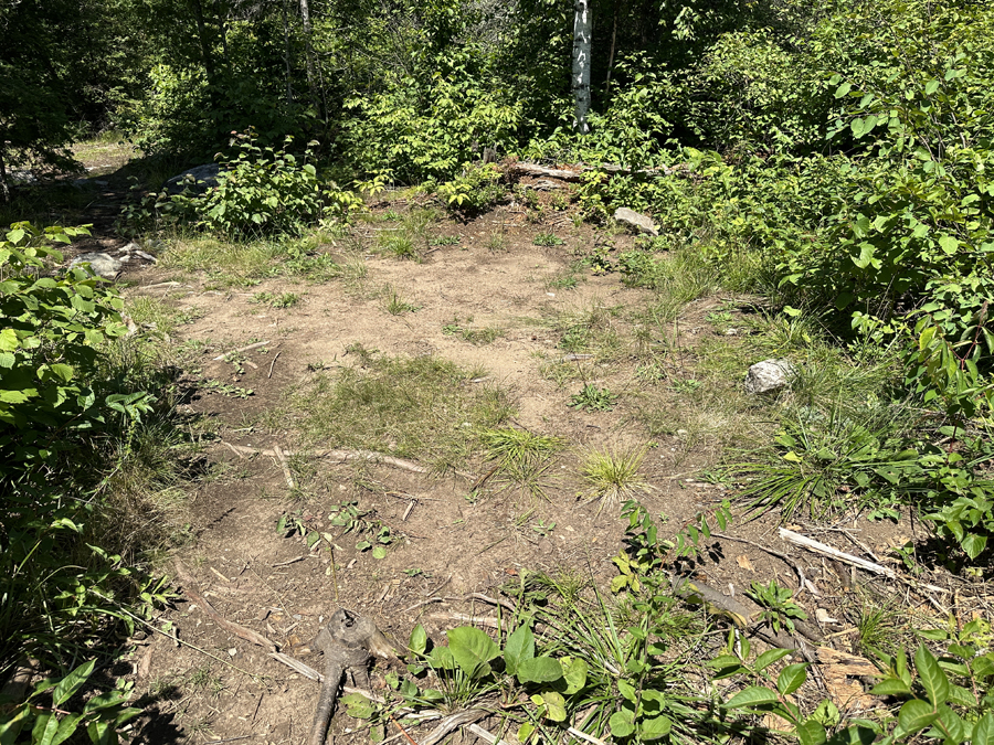 Gabbro Lake Campsite BWCA 5