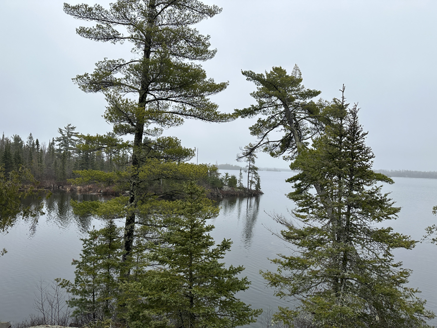 Snowbank Lake Campsite 5