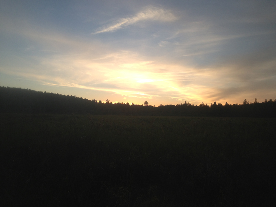 Stuart River 3
