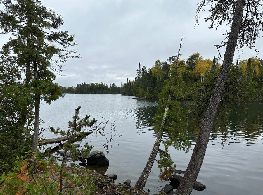 Alton Lake Campsite 8A