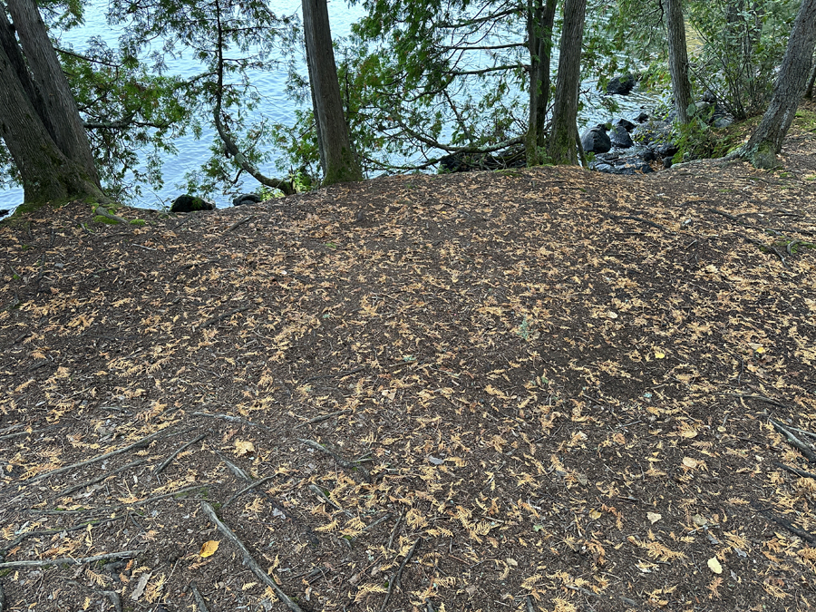 Alton Lake Campsite 6