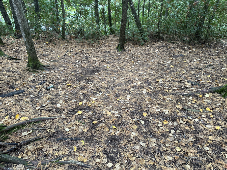 Alton Lake Campsite 4