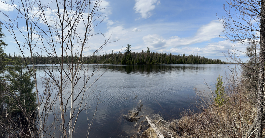 Bog Lake 1A