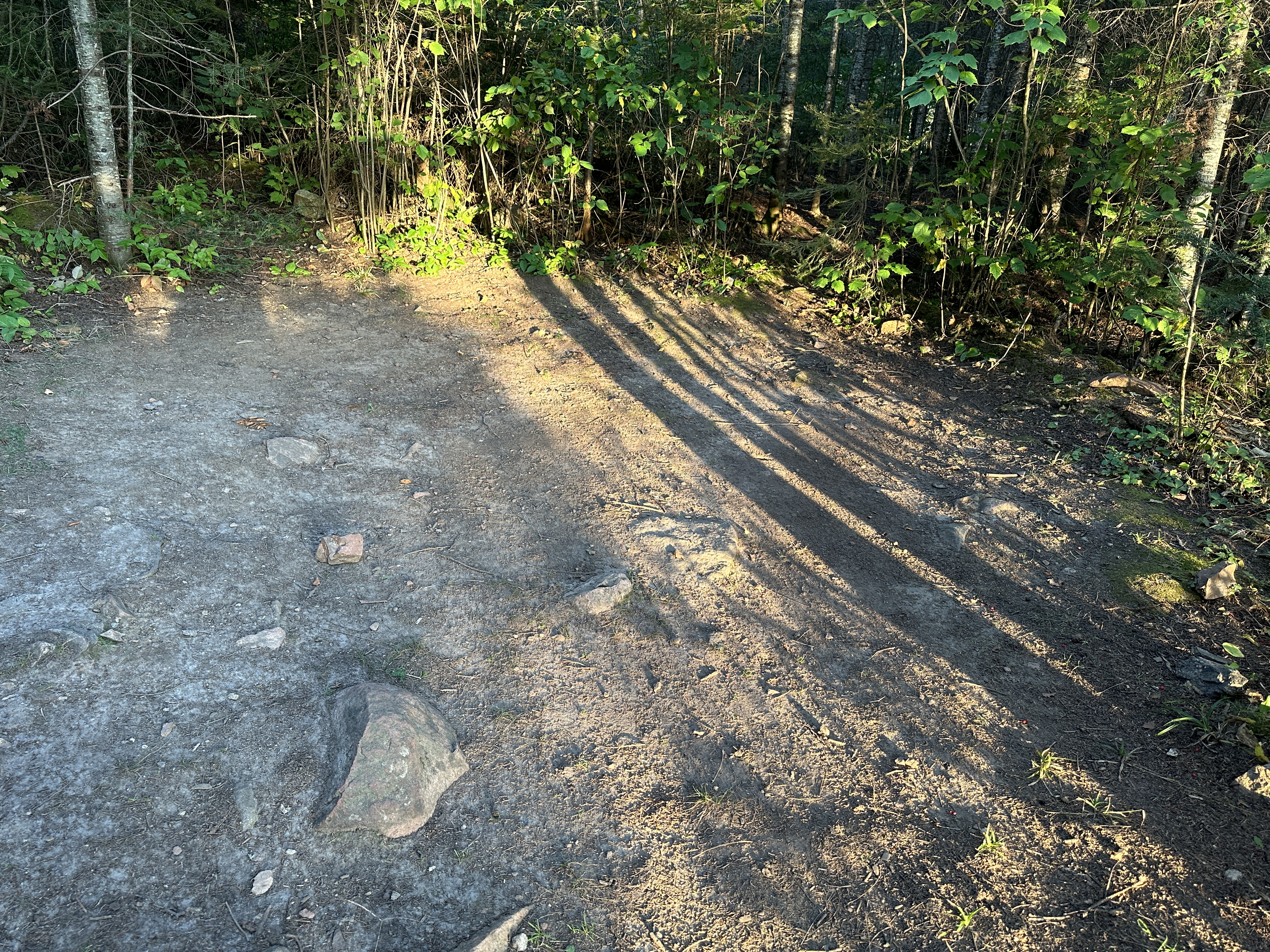 Brule Lake Campsite 4