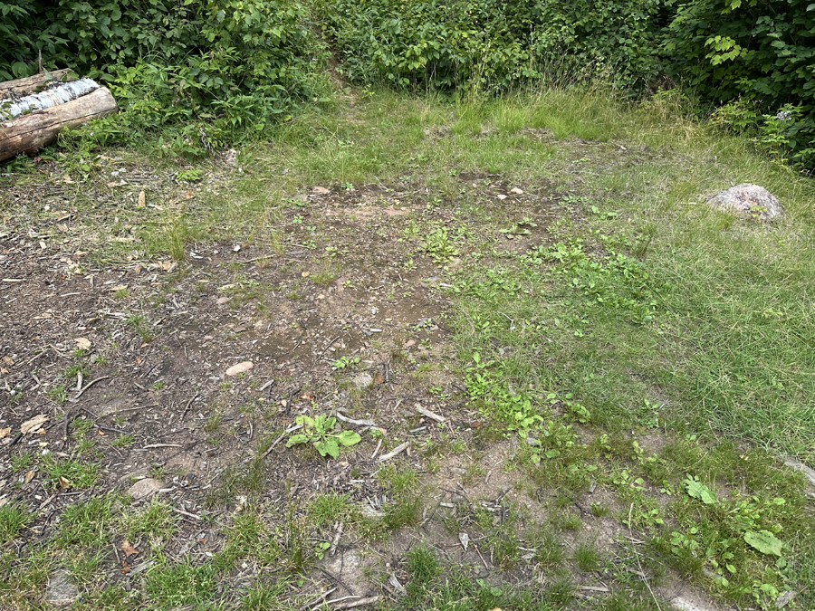 Burnt Lake Campsite 1