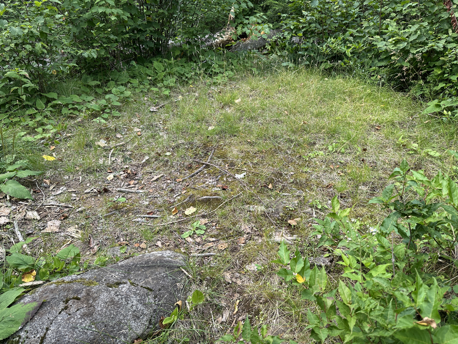 Burnt Lake Campsite 1