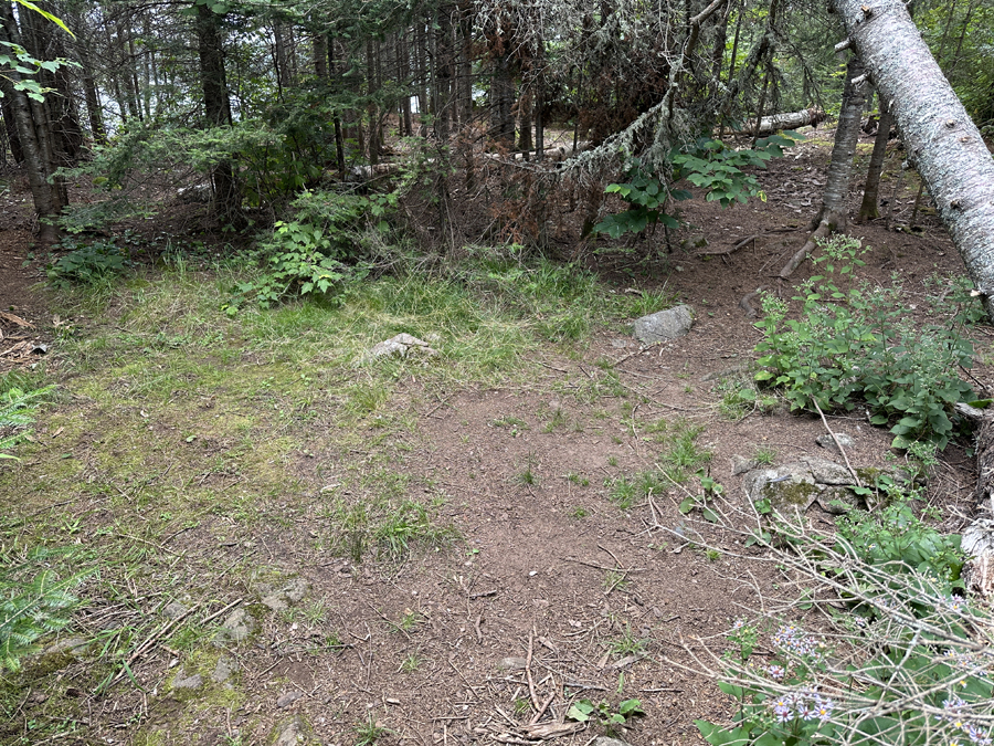 Burnt Lake Campsite 2