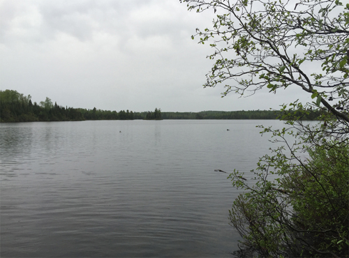 Burnt Lake to Kelly Lake Portage 1