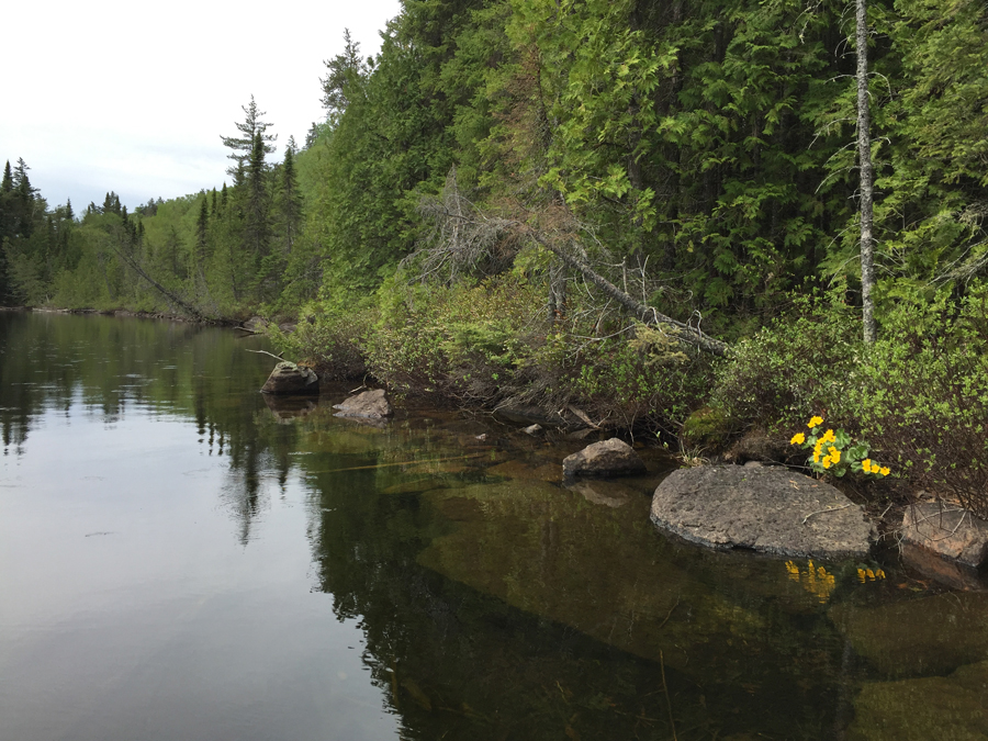Gasket Lake 2