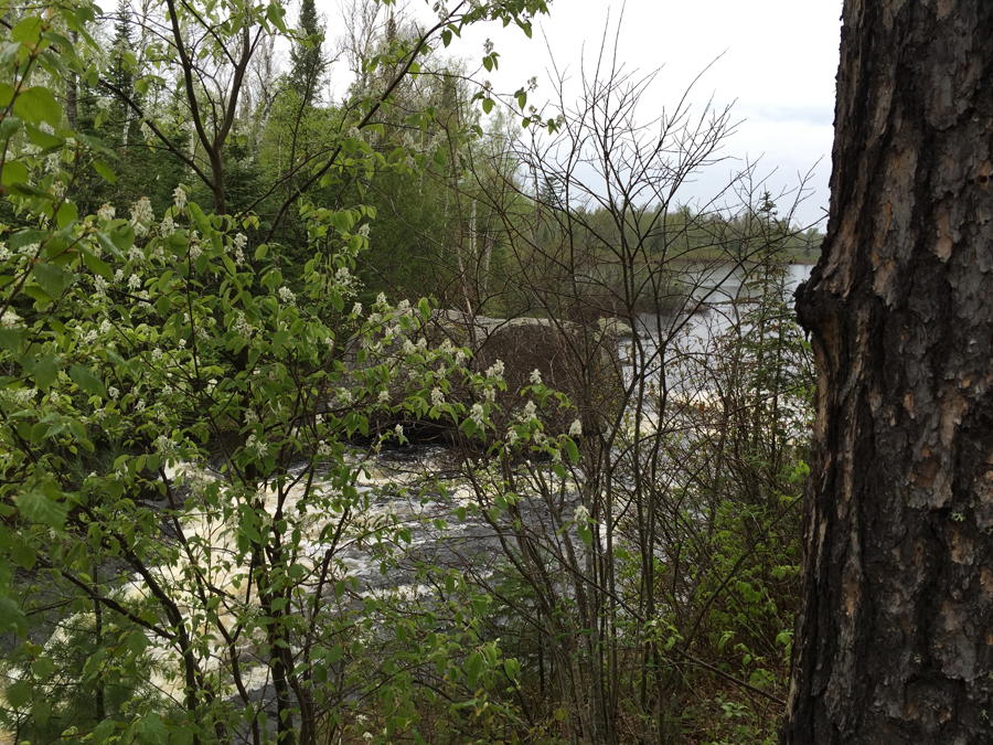 Kawishiwi River 3
