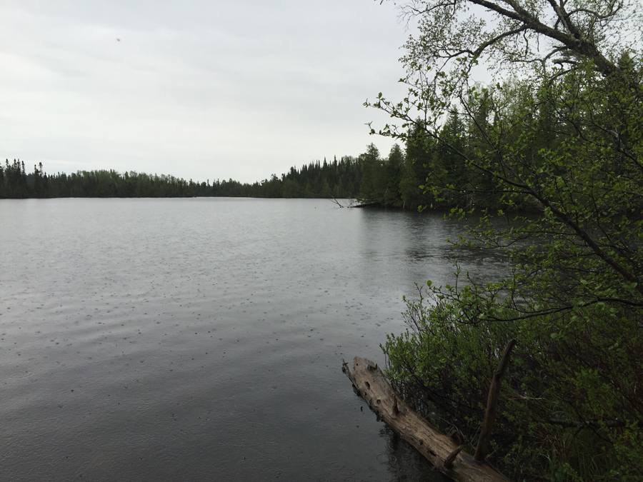 Kelly Lake 4