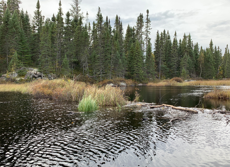 Kelso River 1