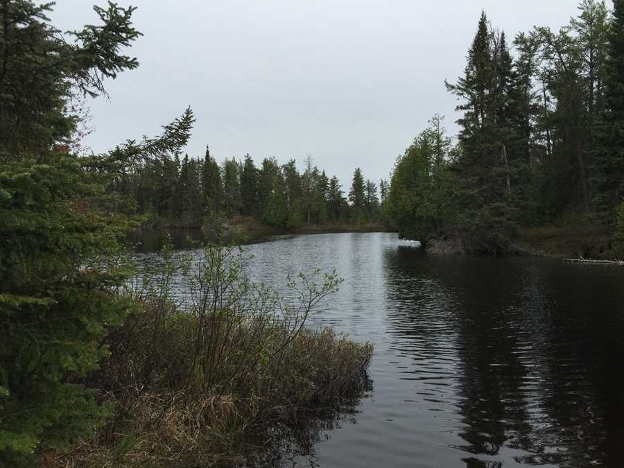 Polly Lake 3