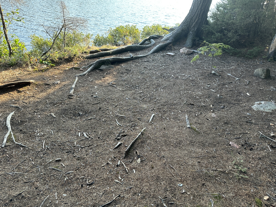 South Cone Lake Campsite 9